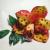 products_hd-retro-clothing_dai_holly.jpg