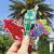 products_the-art-of-b-rex_rechenmacher_brian.jpeg