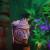 products_the-art-of-b-rex_rechenmacher_brian_2.jpg